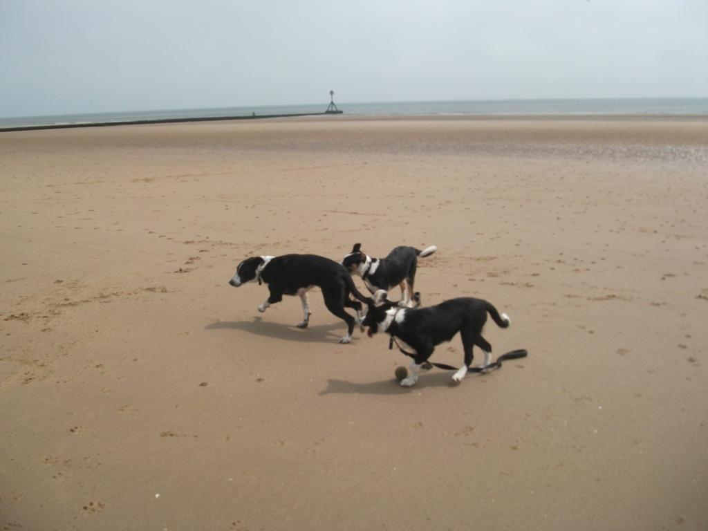 Jasmine Guest House Bridlington Zewnętrze zdjęcie